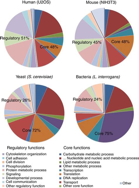 Comparative Analysis Of Protein Abundance Pie Charts Representing The