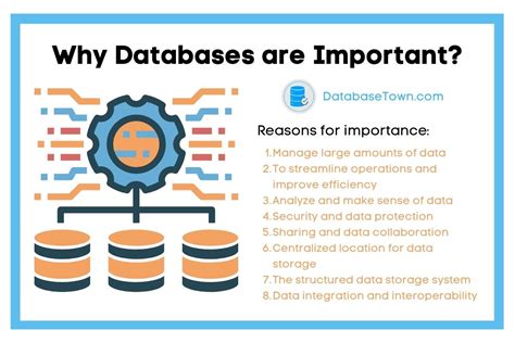 Why Are Databases Important Databasetown