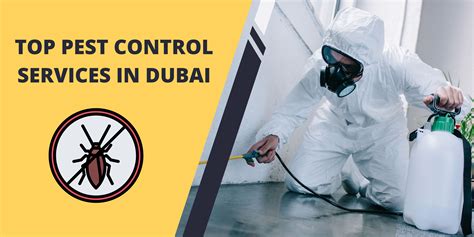 Top Pest Control Services In Dubai Al Madeena