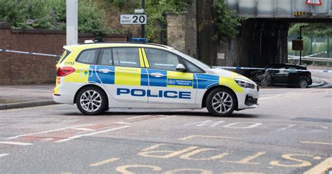 Ausgeb Xte Kuh Nahe London Zwei Mal Von Polizeiwagen Gerammt