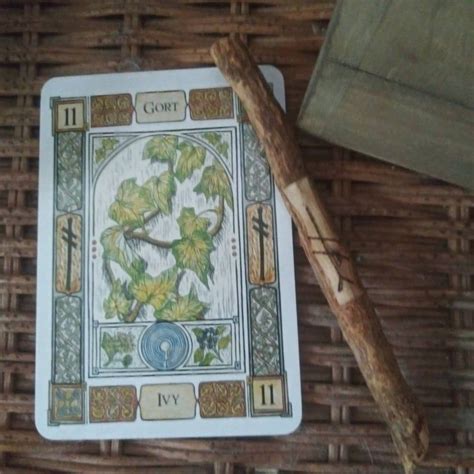 A Beginners Understanding Of Ogham Divination Part Twelve