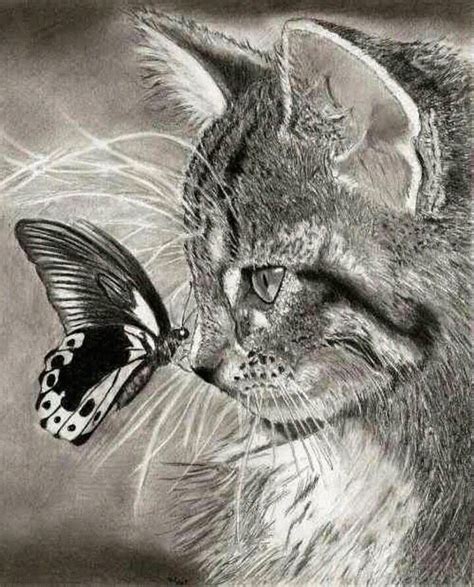 Dieren Tekenen Realistic Animal Drawings Pencil Drawings Of Animals