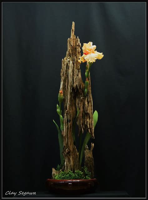 Pin By Brigitte Magaud On No L Ikebana Flower Arrangements Floral