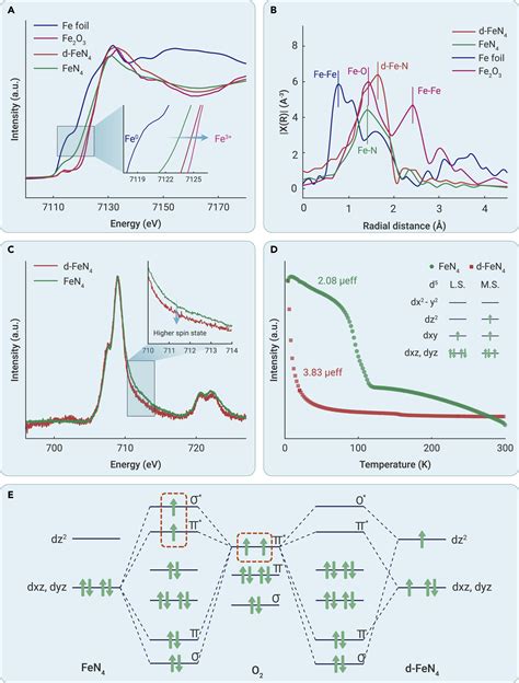 Spin Engineering Of Single Site Metal Catalysts The Innovation