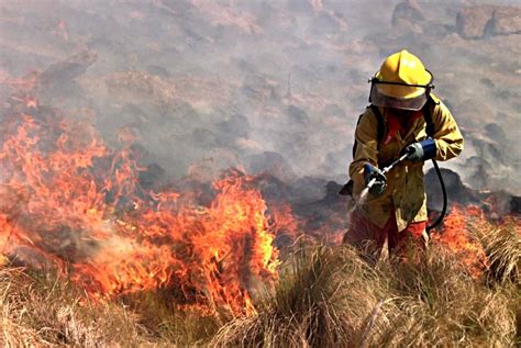 Se Oficializó La Emergencia Ambiental Por Los Incendios El Diario Del