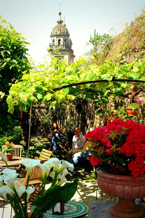 Vistas Jardín hotel Costa Vella | Vistas, Cascadas, Santiago de compostela