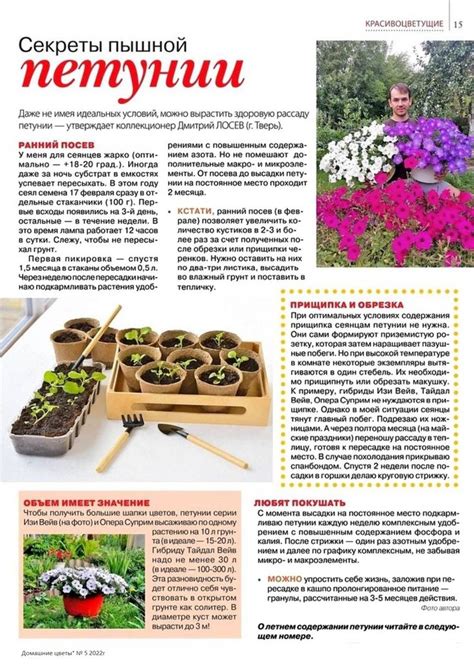 Секреты пышной петунии в 2024 г | Уличные растения, Растения, Удобрение ...