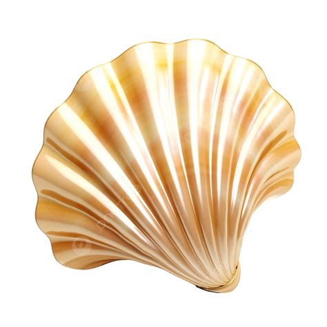 3d Shell Illustration 3d Shell Background Png Transparent Image And