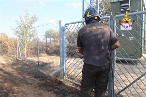 Incendi A Messina Gli Interventi Dei Vigili Del Fuoco Nella