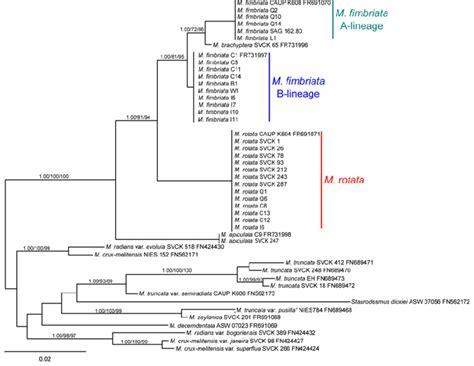 Unrooted Bayesian Phylogenetic Tree Of Trng Ucc Sequences The Scale