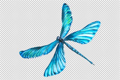 Original Dragonfly Blue Watercolor Png