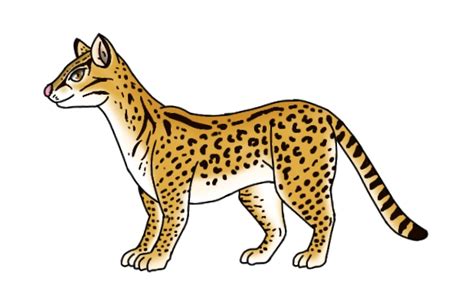 Visayan Leopard Cat by Ognimdo2002 on DeviantArt