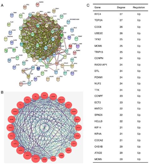 Ppi Network And The Most Significant Module Of Degs A Ppi Network Of