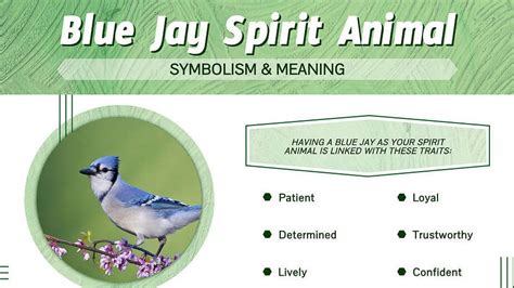 Unveiling the Spiritual Meaning of Jay Birds: A Deeper Connection with Nature