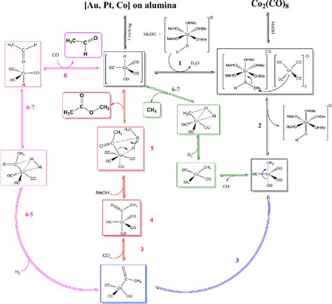 Catalytic Cycle According To Dft Calculations Towards Both Major