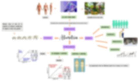 Solution Mapas Mentales Biof Sica Studypool