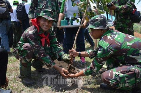 Personel Pprc Tni Gelar Karya Bhakti Dan Bhakti Sosial Di Merauk Foto