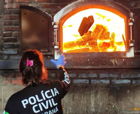 Polícia Civil incinera 3 1 toneladas de droga em Cascavel CGN O