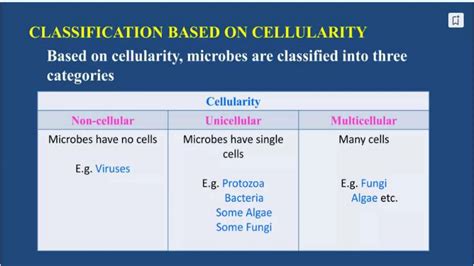 Lecture Note On Classification Of Microorganisms Pptx