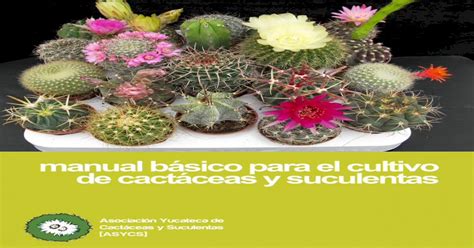 Manual Básico Para El Cultivo De Cactáceas Y Suculentas · 2019 01 17