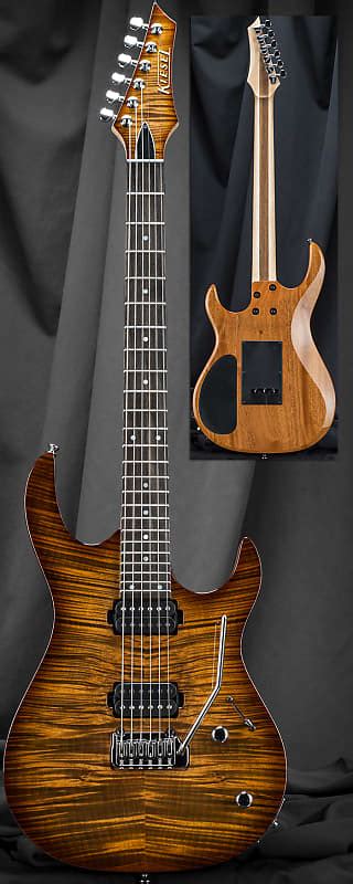 Kiesel A6x Aries 24 Fret Bolt On Neck Guitar Hipshot Tremolo Reverb