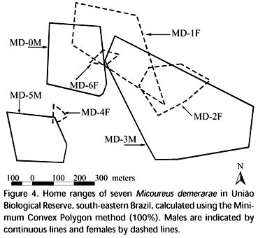 Scielo Brasil A Radio Tracking Study Of Home Range And Movements Of