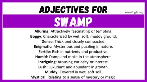 20 Best Words To Describe Swamp Adjectives For Swamp Engdic