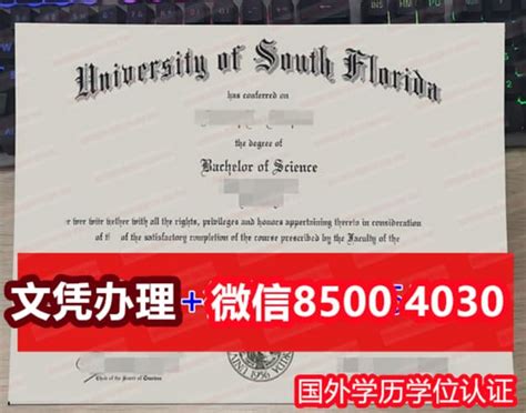 南澳大学毕业证成绩单学位认证材料 Ppt