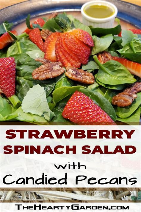 Strawberry Spinach Salad With Candied Pecans The Hearty Garden