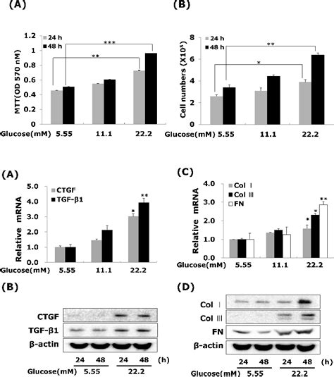 Figure From High Glucose Induces Connective Tissue Growth Factor