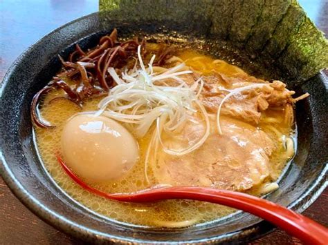 【富山でおすすめ家系ラーメン8選】豚骨醤油と太麺がたまらない至極の一杯 とみもぐ