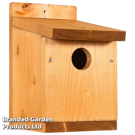 Sparrow Nest Box