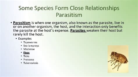 Lesson 5 Species Interactions Ecological Succession And Population