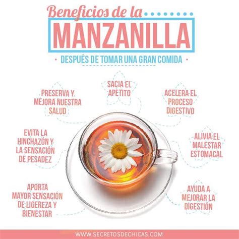 17 Beneficios del Té de Manzanilla Comprobados