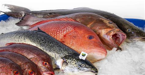 Restaurant Quality Seafood Always Fresh Fish S Wholesale