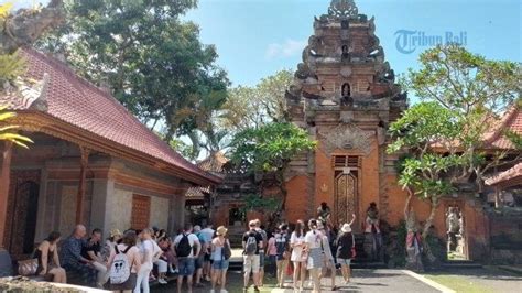 Pariwisata Ubud Mulai Bergeliat Banyak Didatangi Wisdom Dan Wisman