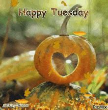 Happy Tuesday Autumn Meme - Happy tuesday autumn - Discover & Share GIFs