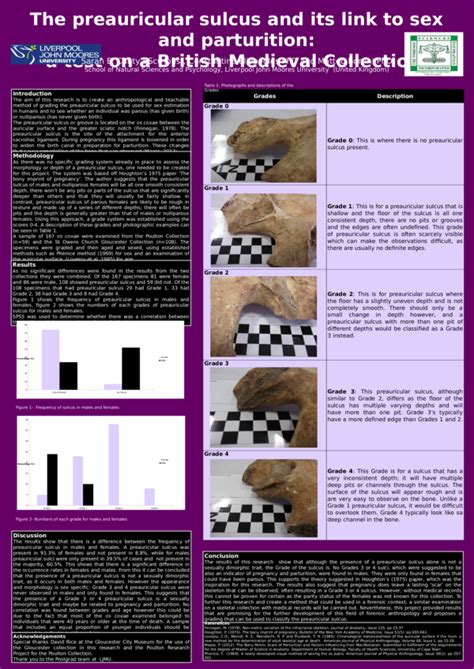 Ppt The Preauricular Sulcus And Its Link To Sex And Parturition A