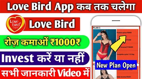 Love Bird App Kab Tak Chalega Love Bird App Me Invest Kare Ya Nahin