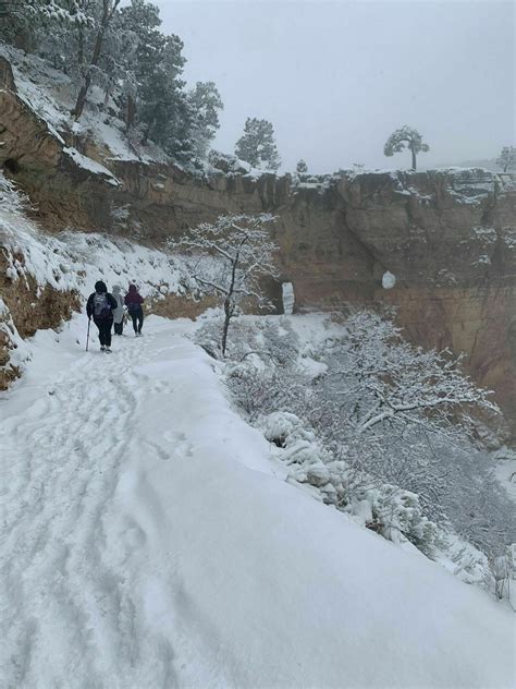 Grand Canyon Rim Trail - Arizona | AllTrails