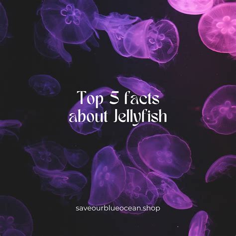 Top 5 facts about Jellyfish