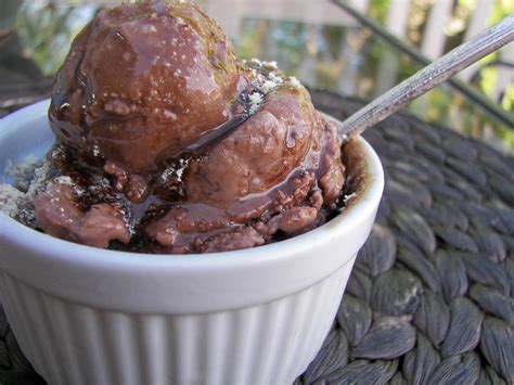 Red Couch Recipes: Chocolate Malt Ice Cream