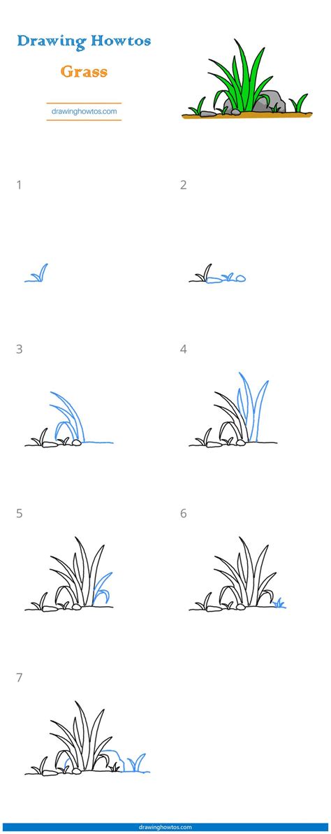 How to Draw Grass - Step by Step Easy Drawing Guides - Drawing Howtos