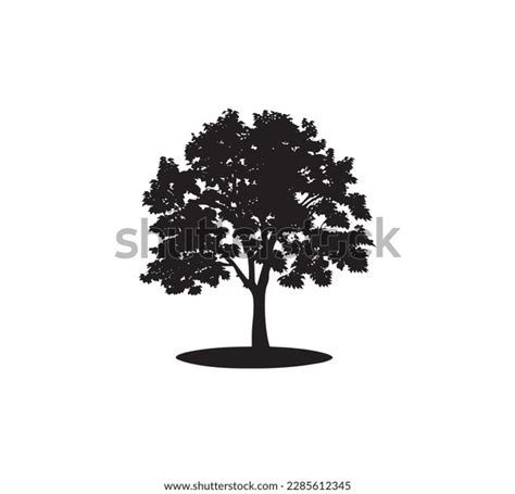 Small Size Tree Silhouette Vector Art Stock Vector (Royalty Free ...