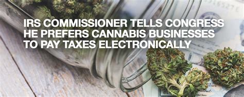 Irs Commissioner Tells Congress That He Prefers Cannabis Businesses Be Able To Pay Taxes