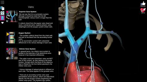 Anatomy Learning - Anatomy Learning - 3D Atlas APK para Android - Download