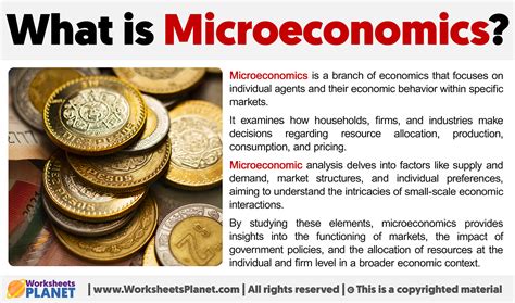 What is Microeconomics