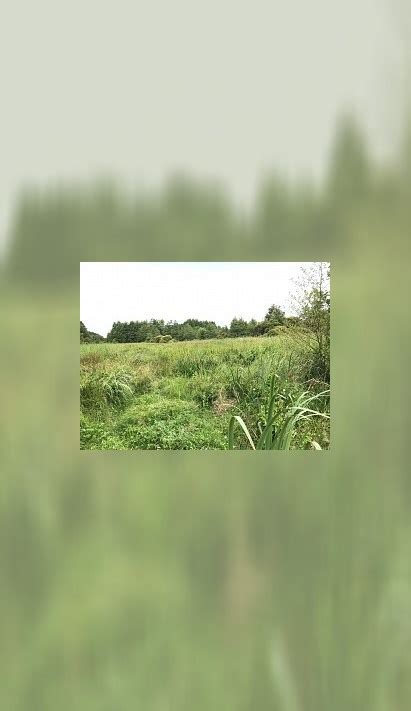 Circuit Les Marais De Blanche No Nort Sur Erdre