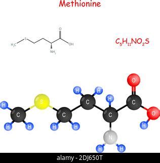 Proteína Fórmula química estructural y modelo molecular Fórmula