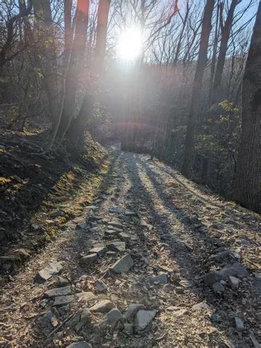 Best City Walk Trails In Phoenixville Alltrails